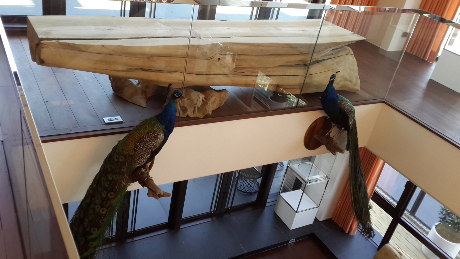 室內設計-方境設計/邊靖遠